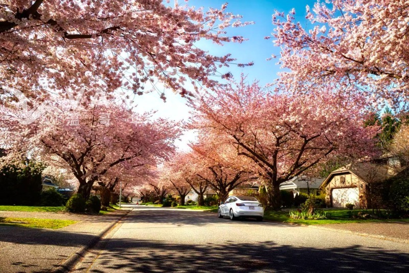 251226210612_Weixin Image_20251122110209_269_564.jpg